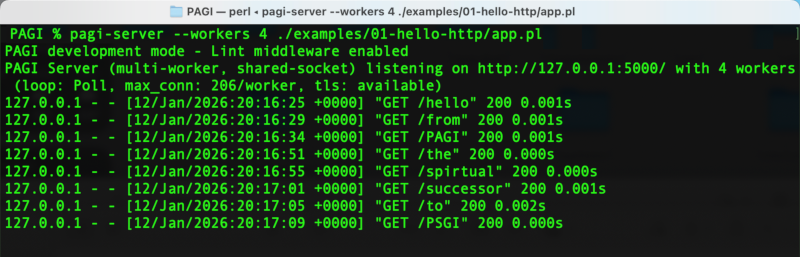 PAGI Server Running Output