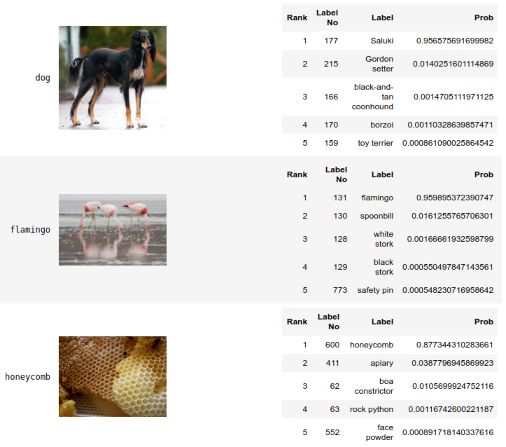 Perl TensorFlow Image Classification